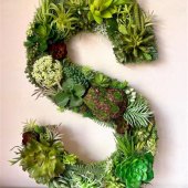 Moss Letters On Wall
