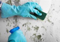Best Paint For Walls Easy To Clean
