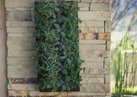 Grovert Living Wall Planter Canada
