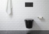 Kohler Veil Wall Hung Toilet Black