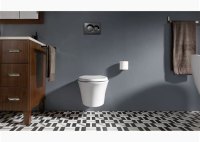 Kohler Veil Wall Hung Toilet Specs