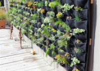 Living Plant Wall Outdoor