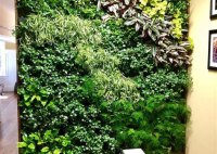 Living Plant Walls Indoor