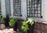 What To Do With A Blank Outdoor Wall