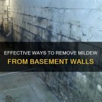 How To Get Rid Of Mold On Stone Basement Walls