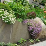 Retaining Wall Plants Full Sun